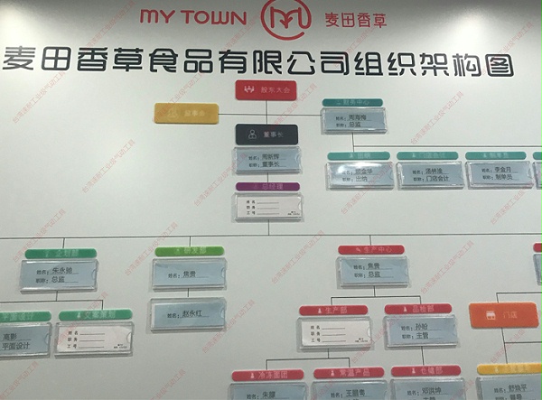 台湾速耐麦田香草组织结构图
